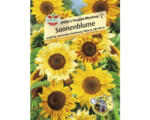 Hornbach Sonnenblume 'Picolino Mix' Sperli Blumensamen