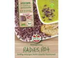 Hornbach Keimsprossen Sperli Bio Keimsprossen 'Radieschen rot'
