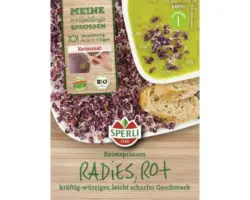 Keimsprossen Sperli Bio Keimsprossen 'Radieschen rot'