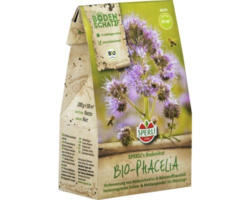 Gründünger Sperli Bodenkur Bio Phacelia 200 g 50 m²