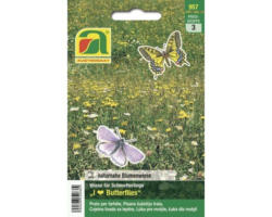Blumenwiese für Schmetterlinge Austrosaat 2 m²