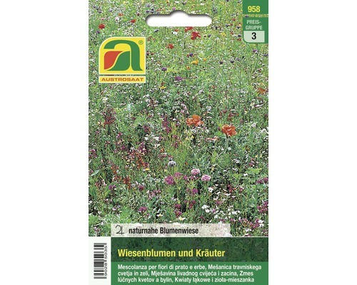 Wiesenblumen und Kräuter Austrosaat 2 m²
