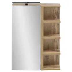 Spiegelschrank 51,3/75/16 cm