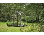 Hornbach Gewächshaus Halls Qube 66 3,9 m² Sicherheitsglas 3 mm 198 x 198 cm schwarz