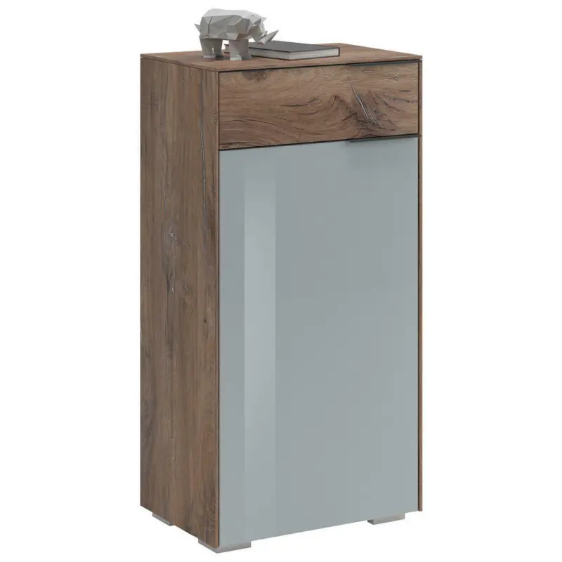 Schuhschrank 55,8/110,2/37,3 cm