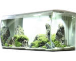 Hornbach Aquarium Fluval Flex 123 l inkl. LED-Beleuchtung, Filter, Schaumstoffunterlage ohne Unterschrank weiß