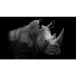 XXXLutz Lauterach - Ihr Möbelhaus bei Bregenz Acrylglasbild 100/180/1,70 cm