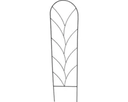 Spalier Ranke L Lava-Grau