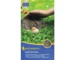 Hornbach Grünlandsamen Kiepenkerl Kleintier-Wiese für Geflügel, Nager und Schildkröten 10 kg / 400 m²
