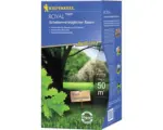 Hornbach Rasensamen Kiepenkerl Schattenverträglicher Rasen 1 kg / 50 m²