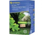 Hornbach Rasensamen Kiepenkerl Schattenverträglicher Rasen 2 kg / 100 m²