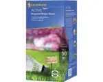 Hornbach Rasensamen Kiepenkerl P.L. Active Strapazierfähiger Rasen 1 kg / 50 m²