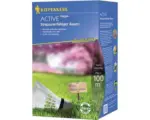 Hornbach Rasensamen P.L. Active Strapazierfähiger Rasen 2 kg / 100 m²