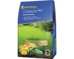 Hornbach Rasensamen Kiepenkerl P.L Complete Nachsaat-Rasen 4 kg / 200 m²