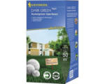 Hornbach Rasensamen Kiepenkerl Dunkelgrüner Gala-Rasen 1 kg / 50 m²