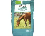Hornbach Grünlandsamen Country Horse 2117 Pferdegreen 10 kg / 2500 m²