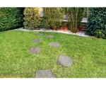 Hornbach FLAIRSTONE Feinsteinzeug Trittstein Etna Dark Grey 42 x 36 x 2 cm