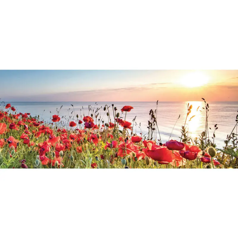 Glasbild 50/125/1,40 cm