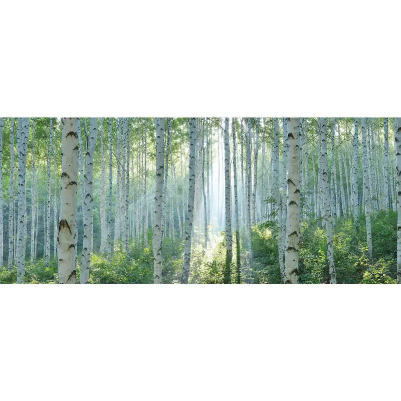 Glasbild 50/125/1,40 cm