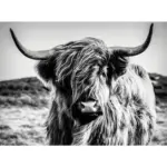 XXXLutz Lauterach - Ihr Möbelhaus bei Bregenz Keilrahmenbild 135/100/3 cm