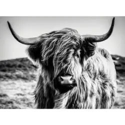 Keilrahmenbild 135/100/3 cm