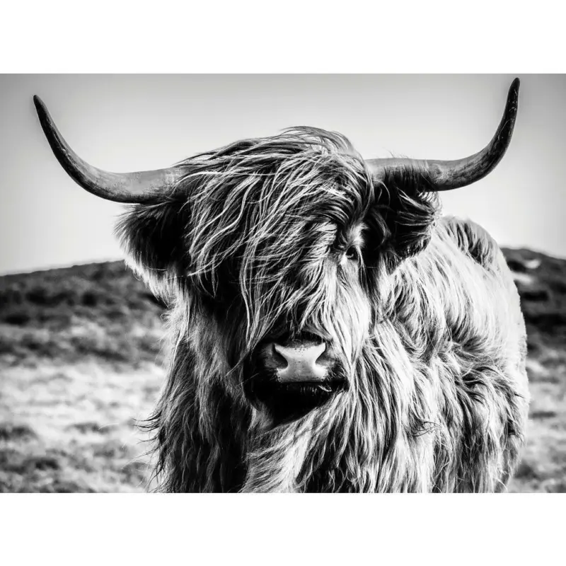 Keilrahmenbild 135/100/3 cm