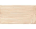 Hornbach Steinzeug Wandfliese Bayaz 30,0x60,0 cm beige glänzend