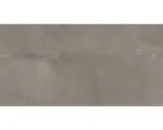 Hornbach Steinzeug Wandfliese Tundra 30,0x60,0 cm grau glänzend