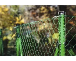 Ecksäule Oktavia 2000 Ø 5,9x235 cm grün