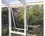 Hornbach Seitenfenster Vitavia H mit Aphrodite mit Einscheibensicherheitsglas 3 mm 55,4x87,6 cm weiß