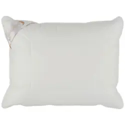 Polster Schneeweisschen