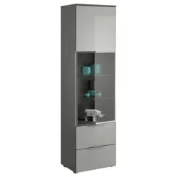 Vitrine in Anthrazit, Grau