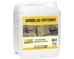 Hornbach HORNBACH Grünbelagentferner 5 l