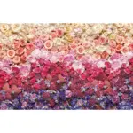 XXXLutz Lauterach - Ihr Möbelhaus bei Bregenz Vliestapete 400/260 cm