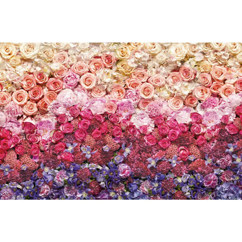 Vliestapete 400/260 cm