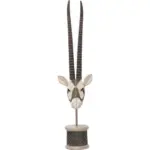 XXXLutz Lauterach - Ihr Möbelhaus bei Bregenz Dekokopf 43/124/29 cm