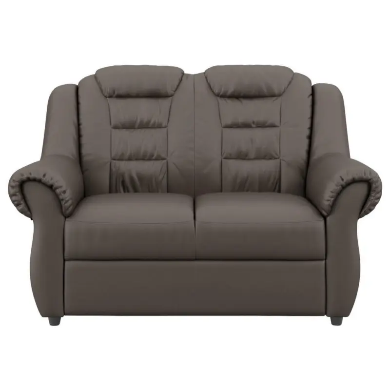 Zweisitzer-Sofa in Lederlook Braun