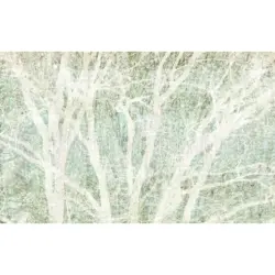 Vliestapete 400/250 cm