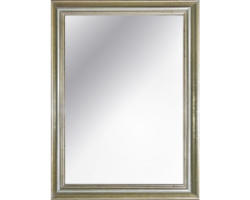 Rahmenspiegel Rom silber/gold 50x70 cm