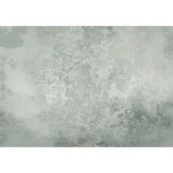 Vliestapete 400/250 cm