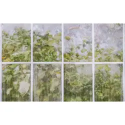 Vliestapete 400/250 cm