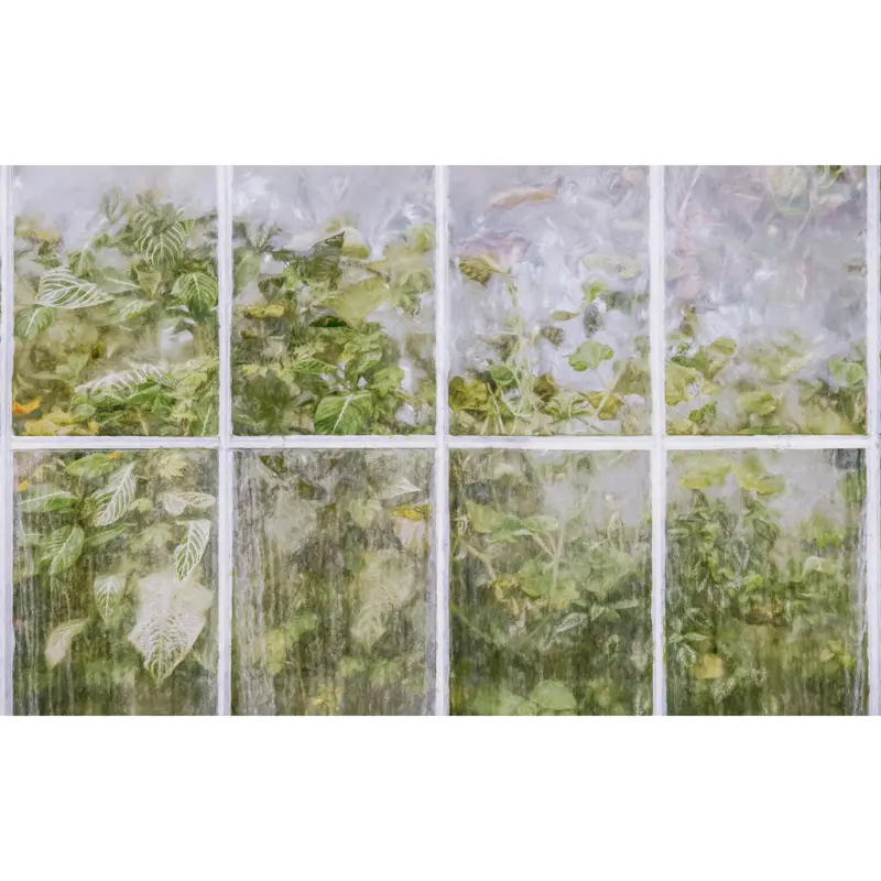 Vliestapete 400/250 cm