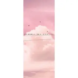 Vliestapete 100/250 cm