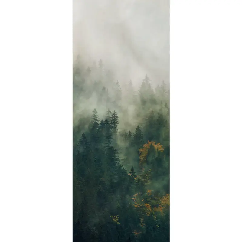 Vliestapete 100/250 cm