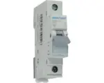Hornbach Hager MBN 120 20A Leitungsschutzschalter B 6kA 1-polig