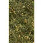 XXXLutz Lauterach - Ihr Möbelhaus bei Bregenz Vliestapete 150/250 cm