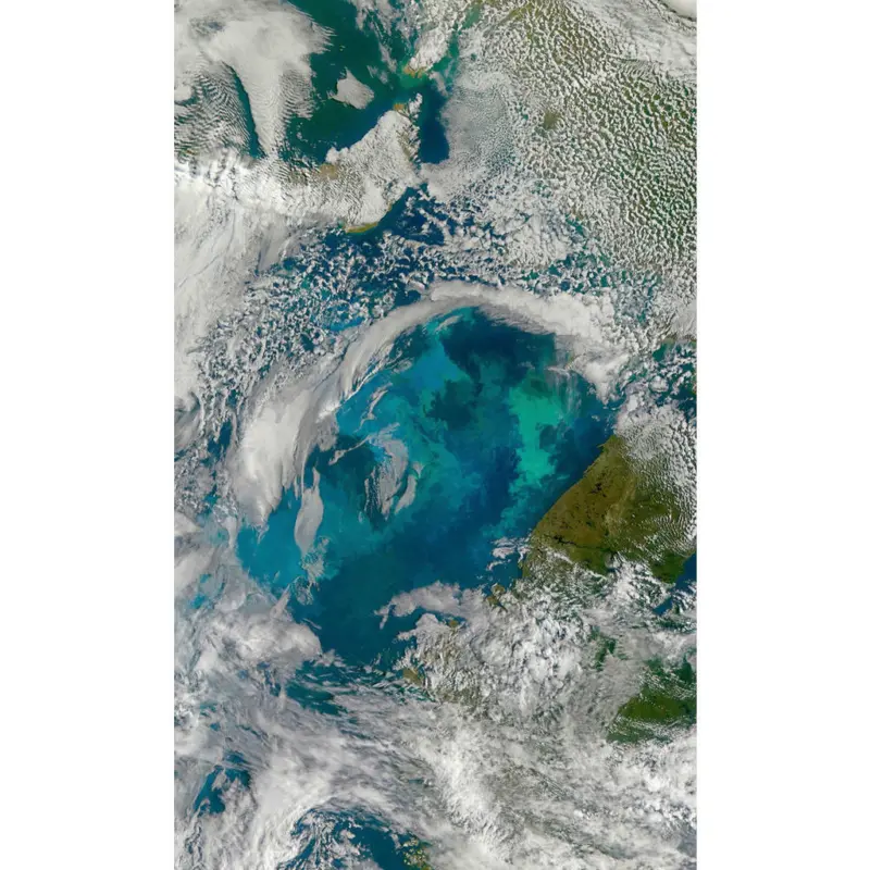 Vliestapete 150/250 cm