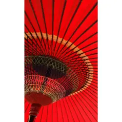 Vliestapete 150/250 cm