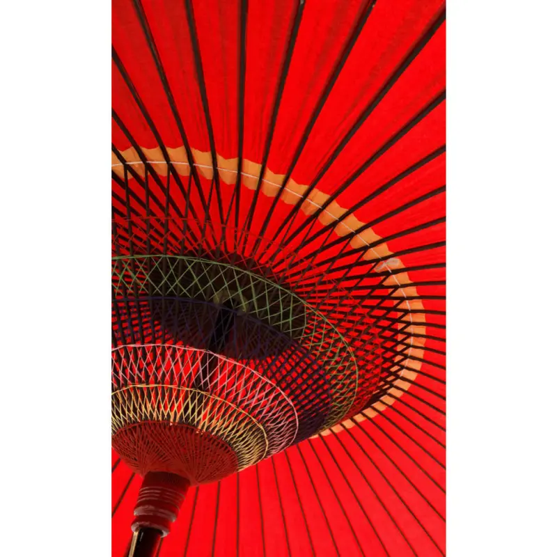 Vliestapete 150/250 cm