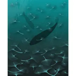 Vliestapete 200/250 cm